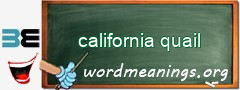 WordMeaning blackboard for california quail